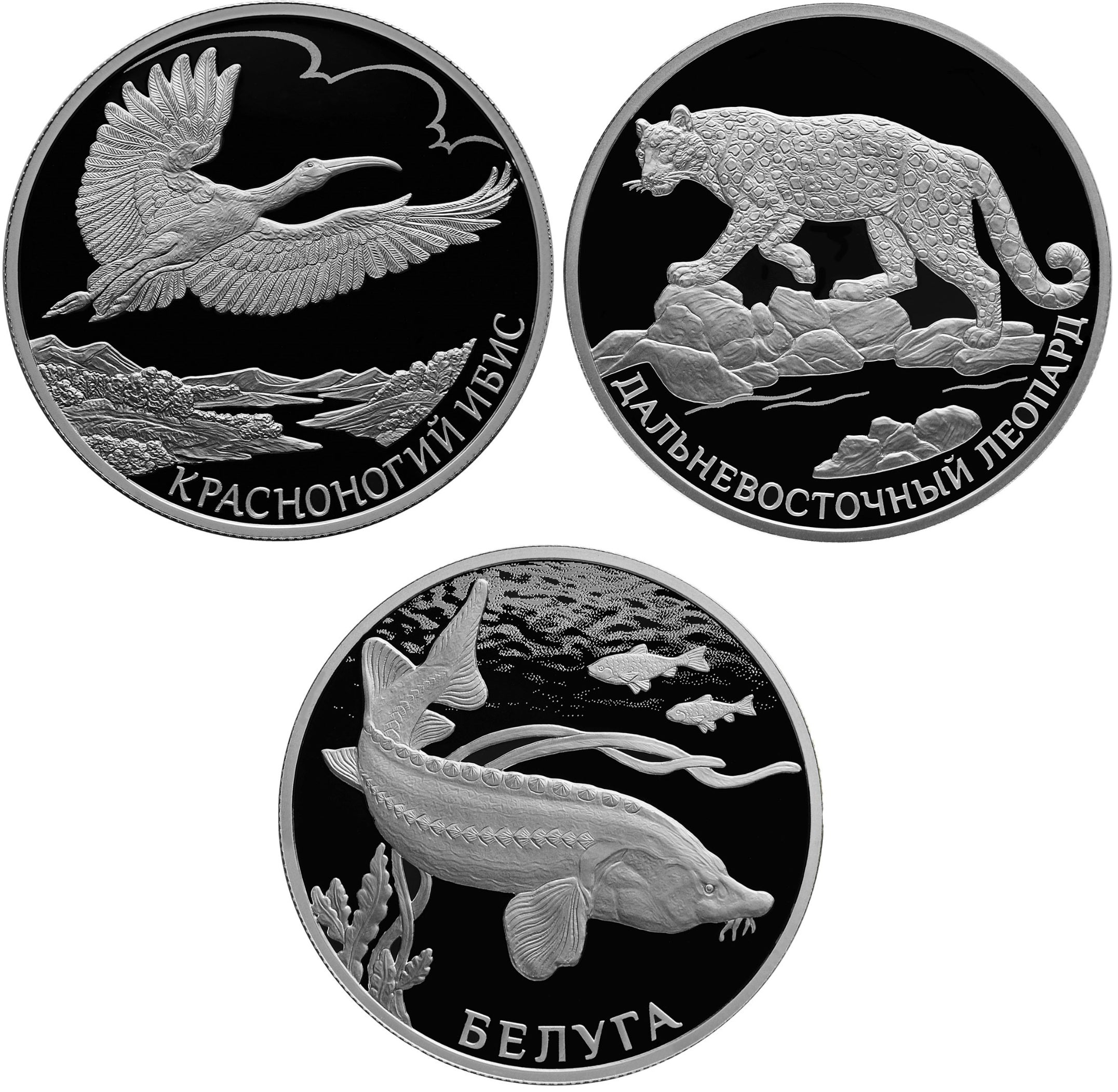 2019 2 Rubles Russia Series: Red Data Book 3 Coins Silver