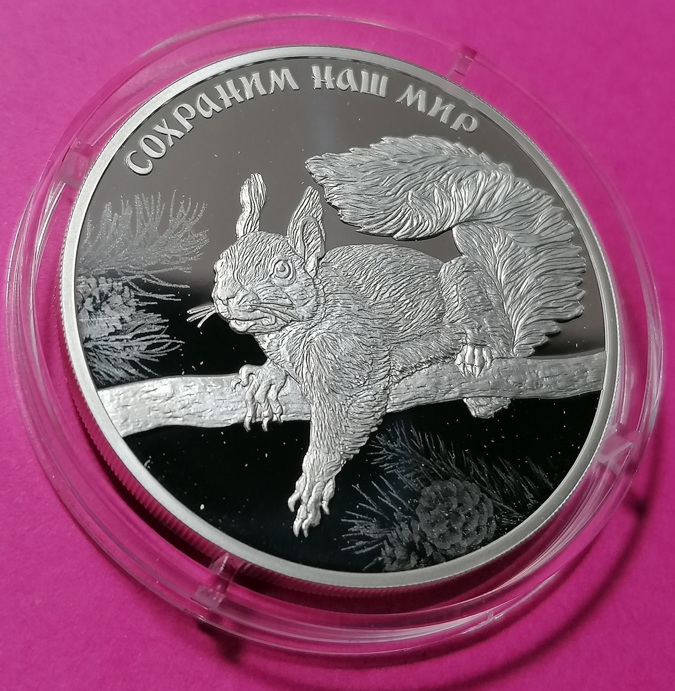 2023 3 Rubles Silver coin Red Squirrel Series: Protect Our World